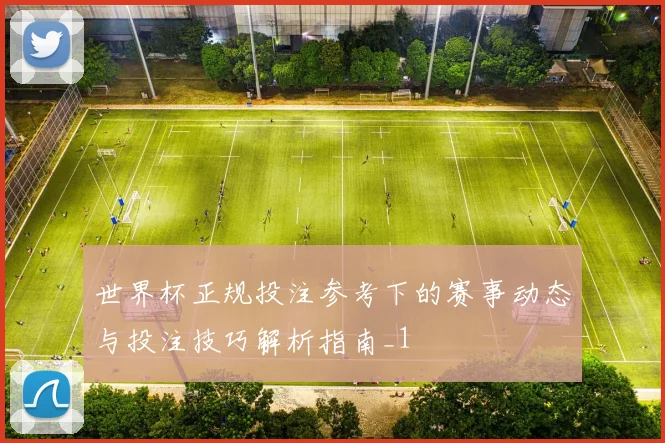 世界杯正规投注参考下的赛事动态与投注技巧解析指南_1