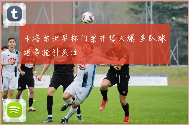 卡塔尔世界杯门票开售火爆 多队球迷争抢引关注