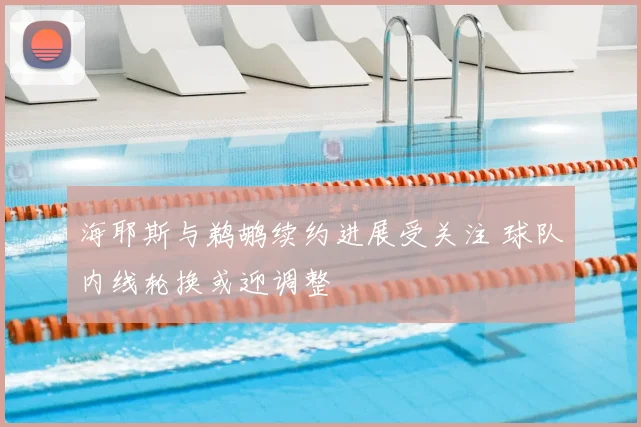 海耶斯与鹈鹕续约进展受关注 球队内线轮换或迎调整
