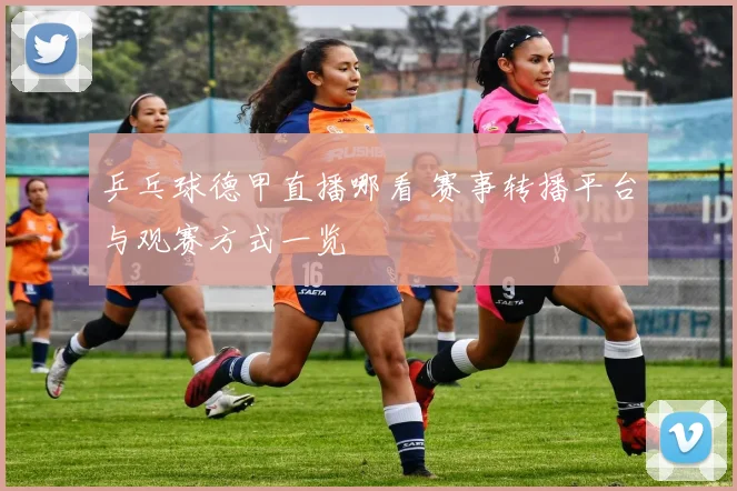 乒乓球德甲直播哪看 赛事转播平台与观赛方式一览